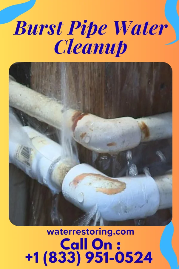 Burst Pipe Water Cleanup in Trafford, AL